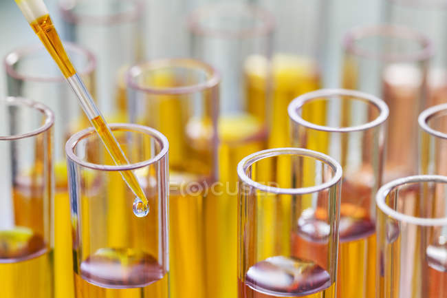 Fechar a pipeta deixando cair a solução em tubos de ensaio em rack no laboratório — Fotografia de Stock