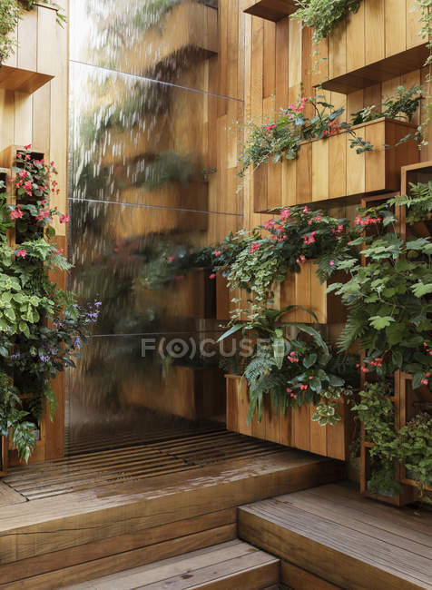 Plantas que crescem em caixas de madeira — Fotografia de Stock