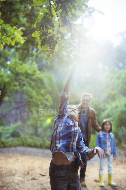 Мальчик ловит светящийся шар в лесу — стоковое фото