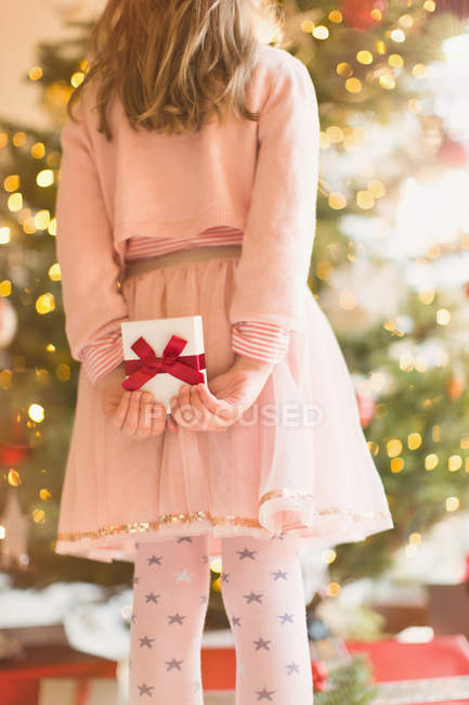 Chica en vestido rosa sosteniendo regalo de Navidad detrás de su espalda cerca del árbol de Navidad - foto de stock