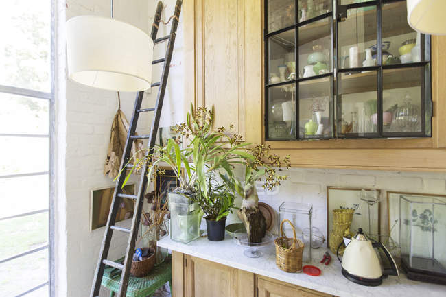 Escalera, plantas y armarios en casa rústica - foto de stock