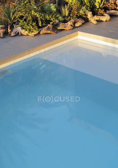 Отражение пальмы в спокойном голубом бассейне — стоковое фото