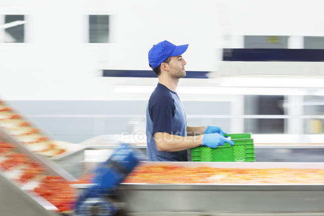 Рабочий, несущий ящик на заводе по переработке пищевых продуктов — стоковое фото