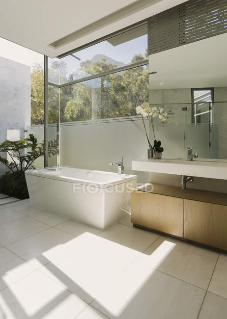 Солнечная современная ванная комната с витриной — стоковое фото