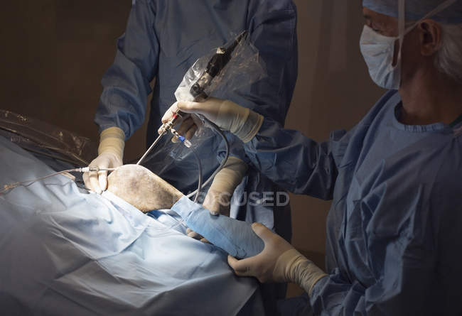 Chirurgen bei der Arbeit im tierärztlichen Operationssaal — Stockfoto