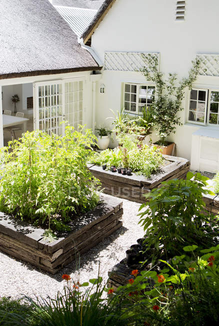 Planters in modern backyard — Stock Photo