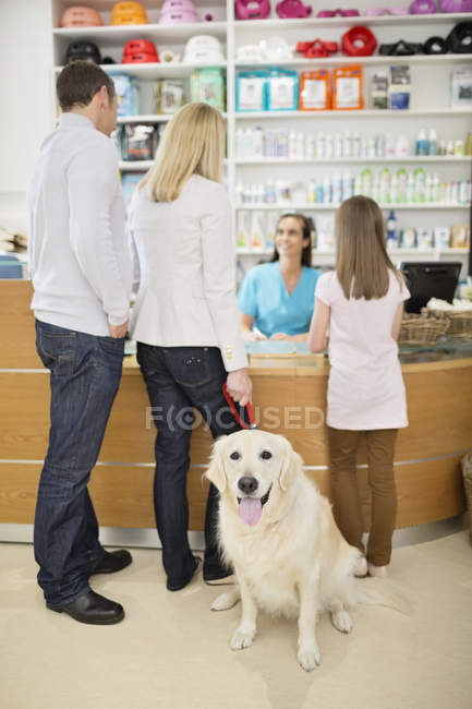 Owners bringing dog to veterinary surgery — Stock Photo