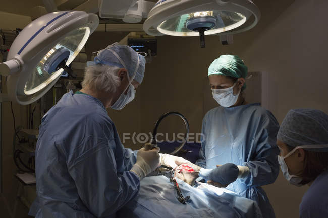 Cirujanos trabajando en quirófano veterinario - foto de stock