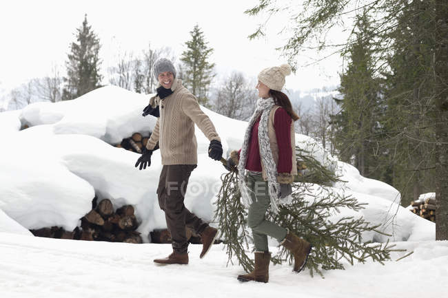 Casal arrastando árvore de Natal fresca perto de neve coberto woodpile — Fotografia de Stock