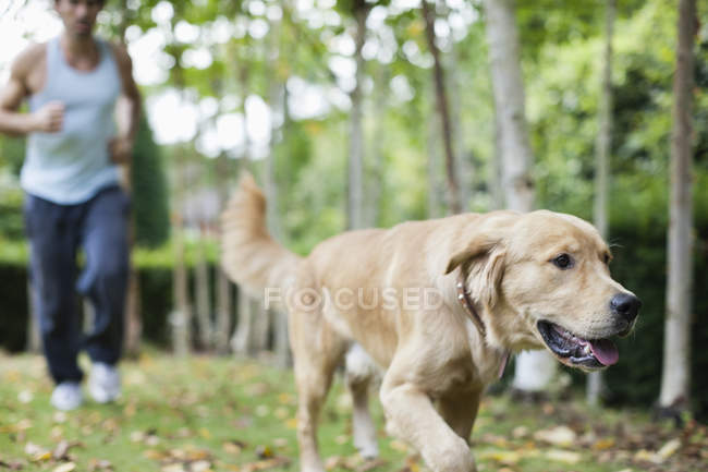 Man and dog running in park together — Stock Photo