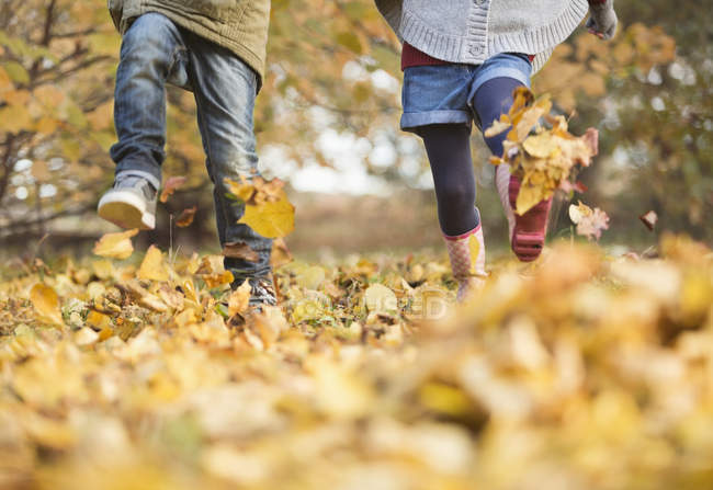 Imagen recortada de los niños caminando en hojas de otoño - foto de stock