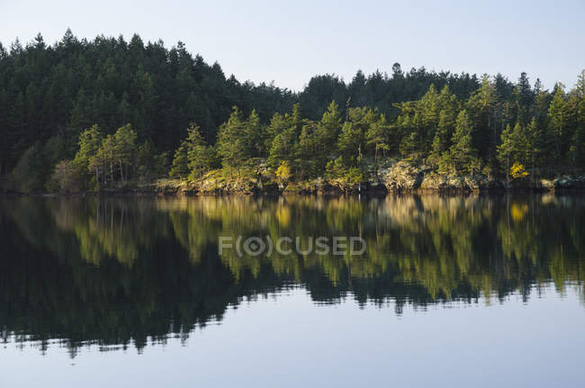 Paisaje rural reflejado en lago todavía - foto de stock