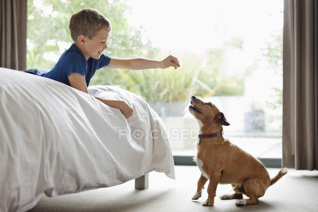 Хлопчик дає собаці ласощі в спальні в сучасному будинку — стокове фото