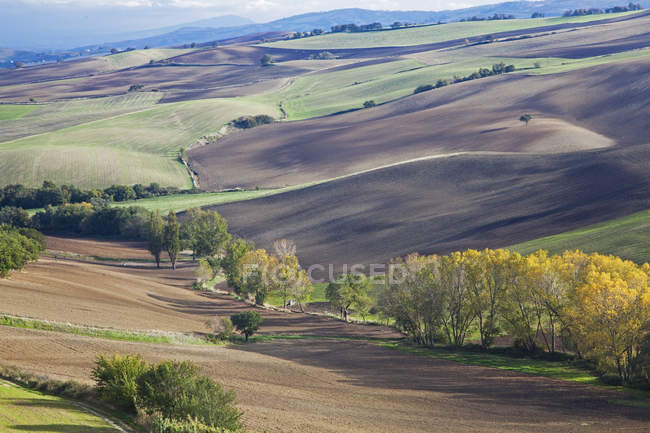 Vista aérea dos campos na paisagem rural — Fotografia de Stock
