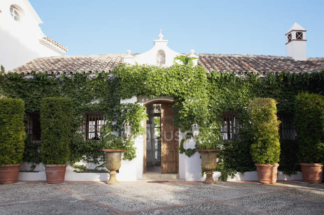 Topiaires en pot et lierre entourant l'entrée de la villa — Photo de stock