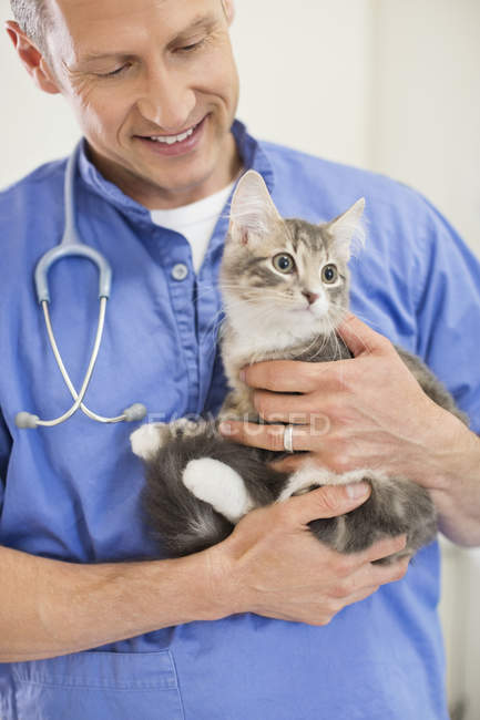 Veterinário segurando gato em cirurgia veterinária — Fotografia de Stock