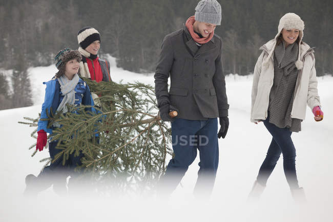 Família feliz carregando árvore de Natal fresca no campo nevado — Fotografia de Stock