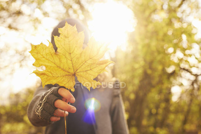 Niño sosteniendo la hoja de otoño delante de la cara - foto de stock