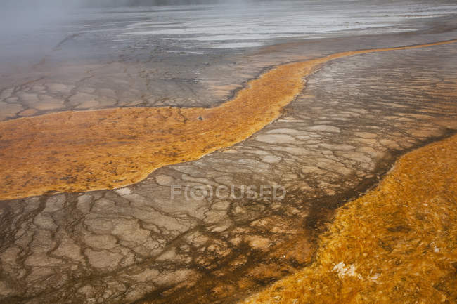 Rock formations in hot spring — Stock Photo