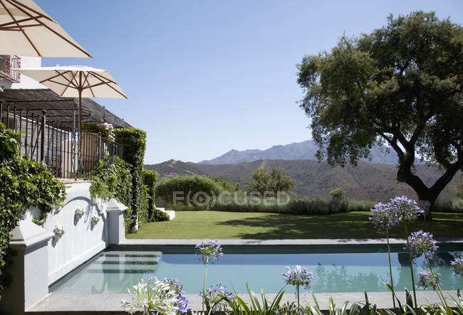 Luxury lap pool with tree and mountains in background — Stock Photo