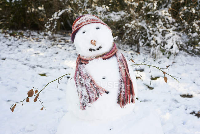 Boneco de neve usando cachecol e chapéu — Fotografia de Stock