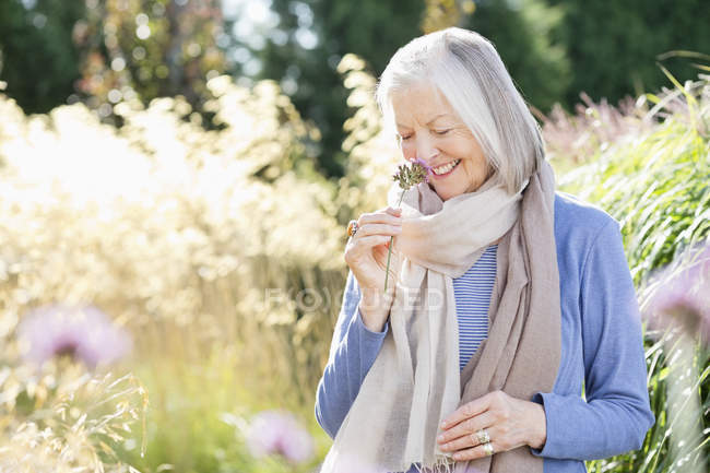 Пожилая женщина нюхает цветы на открытом воздухе — стоковое фото