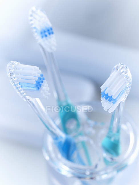 Gros plan des brosses à dents dans le porte-dents — Photo de stock