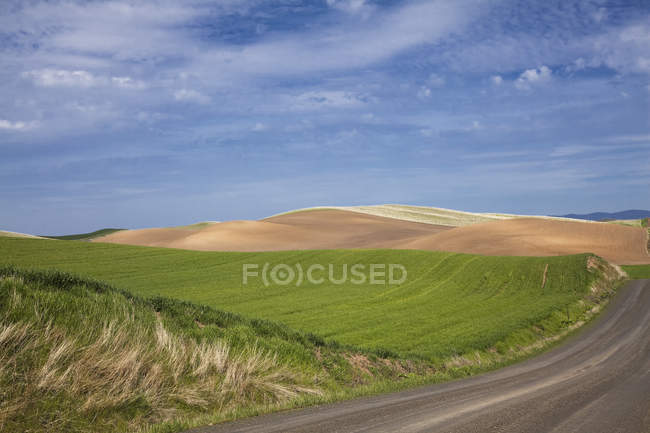 Road along rolling landscape — Stock Photo