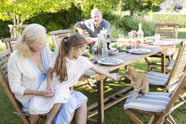 Menina pedindo para animal de estimação gato à mesa ao ar livre — Fotografia de Stock