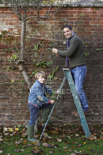 Père et fils travaillant dans le jardin — Photo de stock