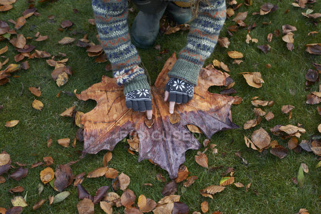 Crop girl playing with autumn leaves — Stock Photo