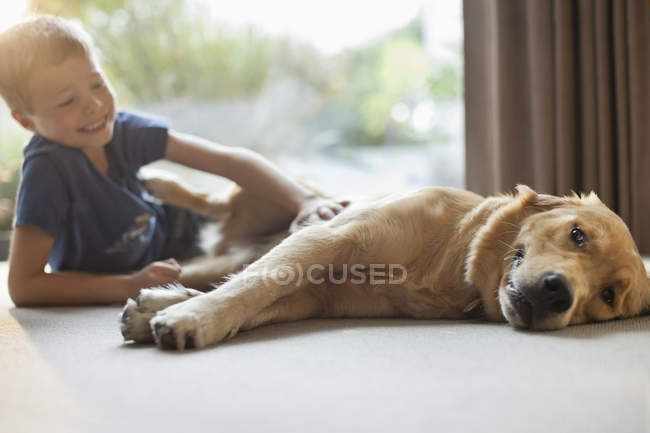 Улыбающийся мальчик ласкает собаку в гостиной — стоковое фото