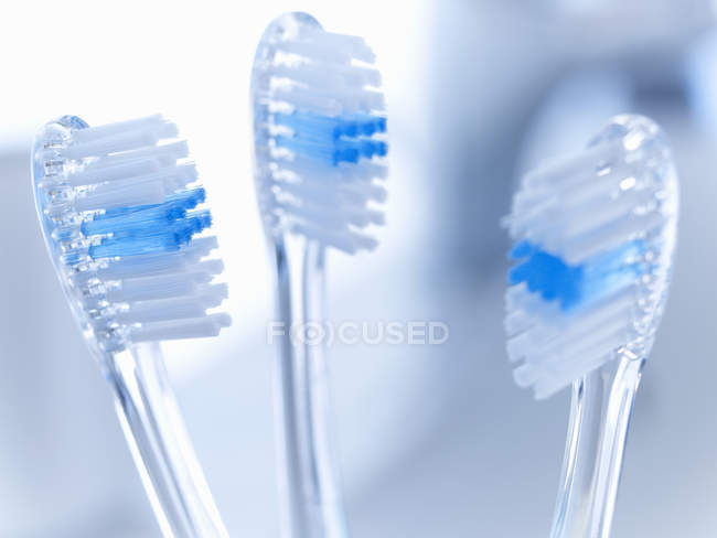 Gros plan des brosses à dents sur fond bleu flou — Photo de stock