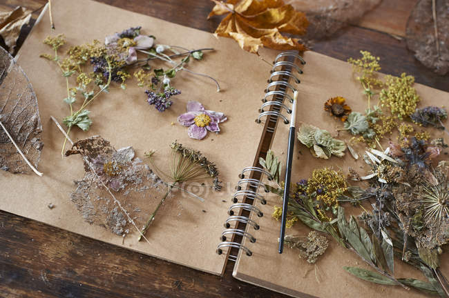 Dried flowers and herbs on notebook — Stock Photo