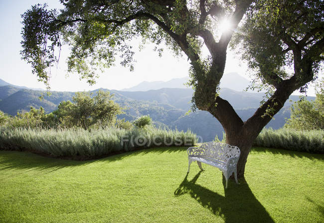 Sol brilhando atrás da árvore com montanhas no fundo — Fotografia de Stock
