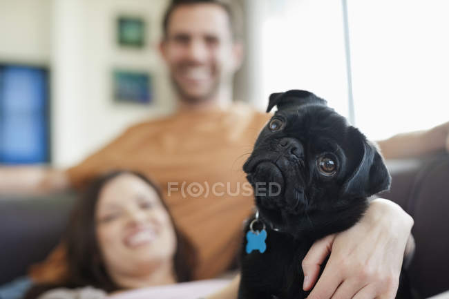 Casal relaxante com cão no sofá em casa moderna — Fotografia de Stock