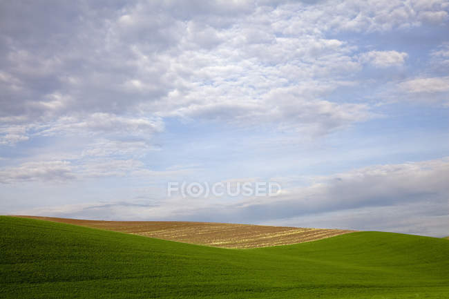 Clouds in blue sky over rolling hillside — Stock Photo