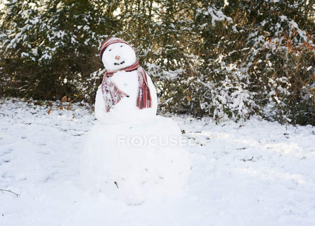 Muñeco de nieve con sombrero y bufanda - foto de stock