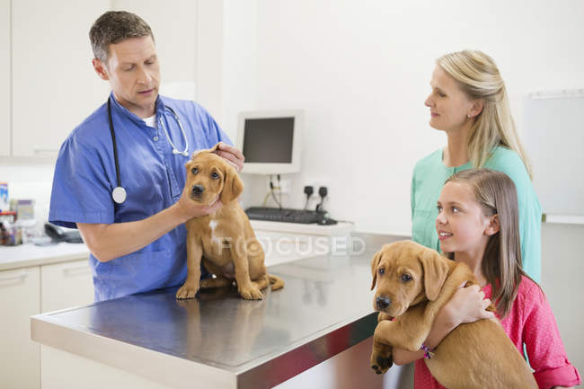Tierarzt untersucht Hund in Tierarztpraxis — Stockfoto