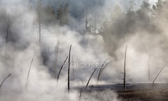 Dampf steigt aus heißer Quelle auf — Stockfoto
