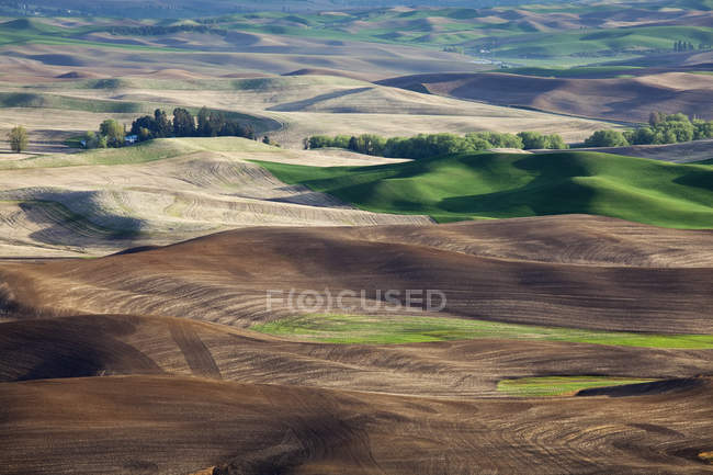 Aerial view of rolling landscape — Stock Photo