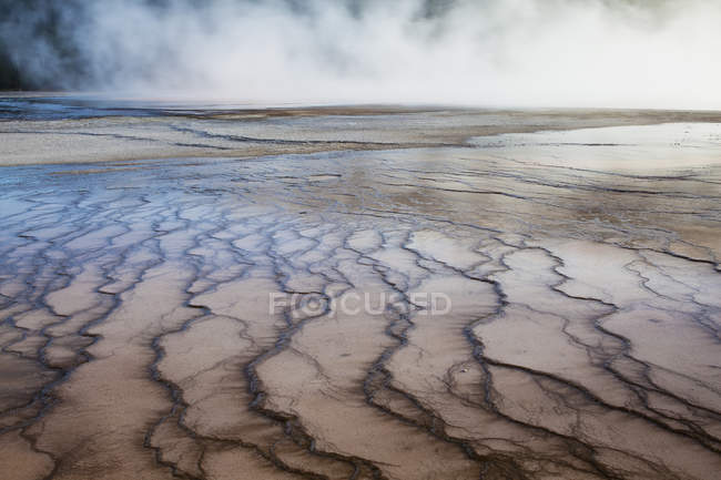 Rock formations in hot spring — Stock Photo