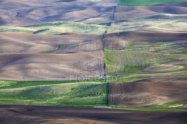 Vista aérea de los campos durante el día - foto de stock