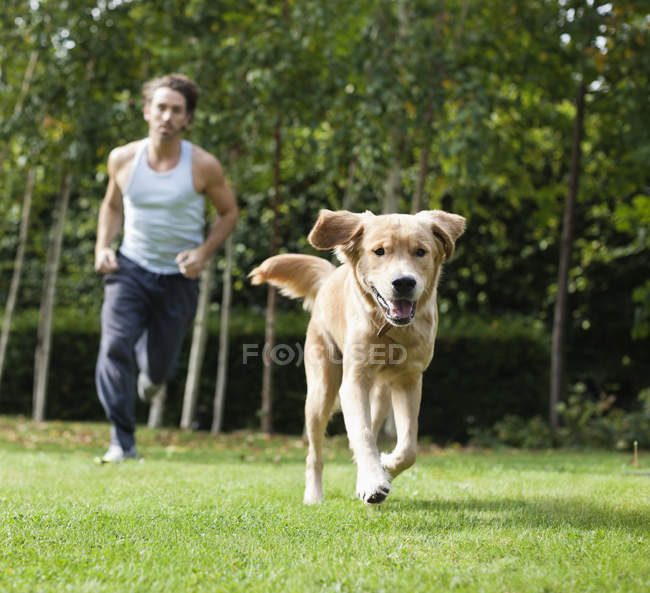 Мужчина бежит вместе с собакой в парке — стоковое фото