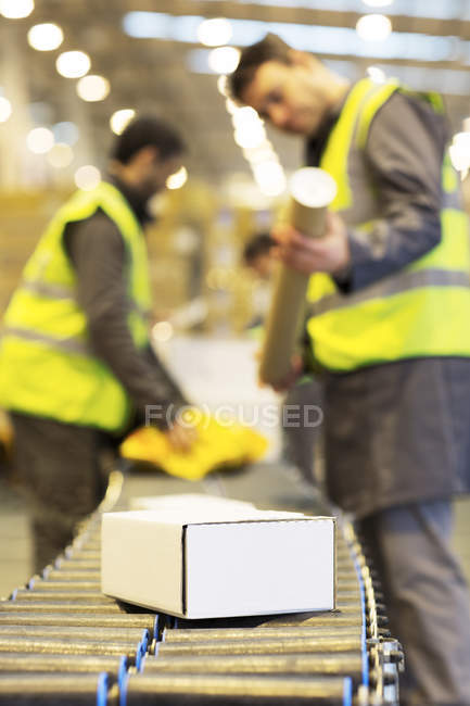 Працівники перевіряють пакети на конвеєрній стрічці на складі — стокове фото
