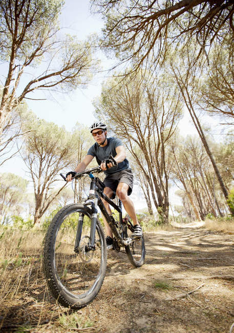 Low angle view of mountain biker on dirt path — Stock Photo