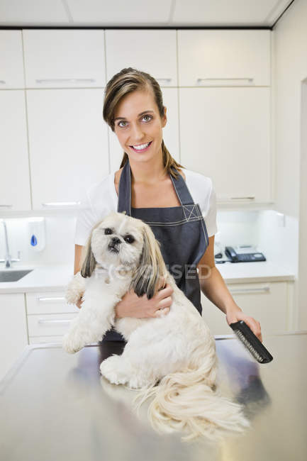 Caucasian groomer working on dog in office — Stock Photo