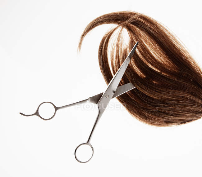 Scissors cutting through brunette hair on white background — Stock Photo
