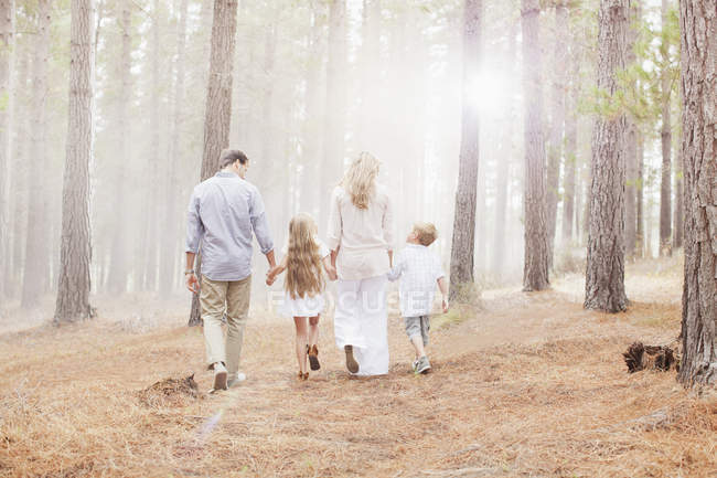 Family holding hands and walking in sunny woods — Stock Photo