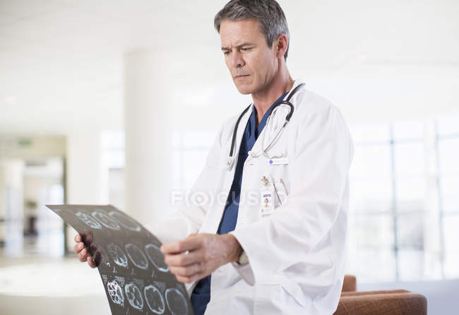 Врач осматривает рентген головы в больнице — стоковое фото